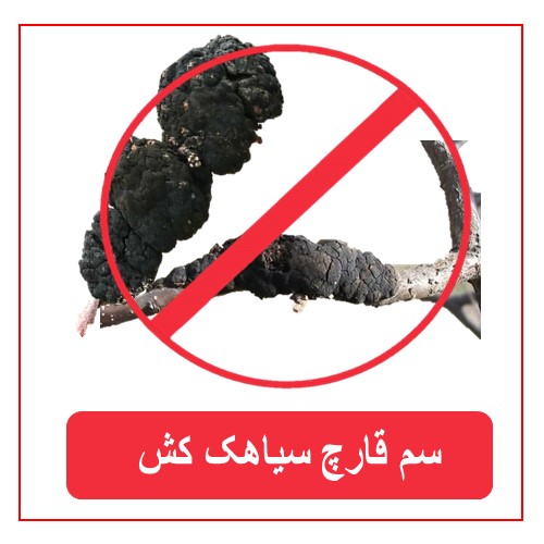 سموم قارچ سیاهک کش